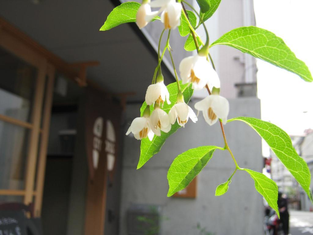 קיוטו Guesthouse Hyakumanben Cross מראה חיצוני תמונה